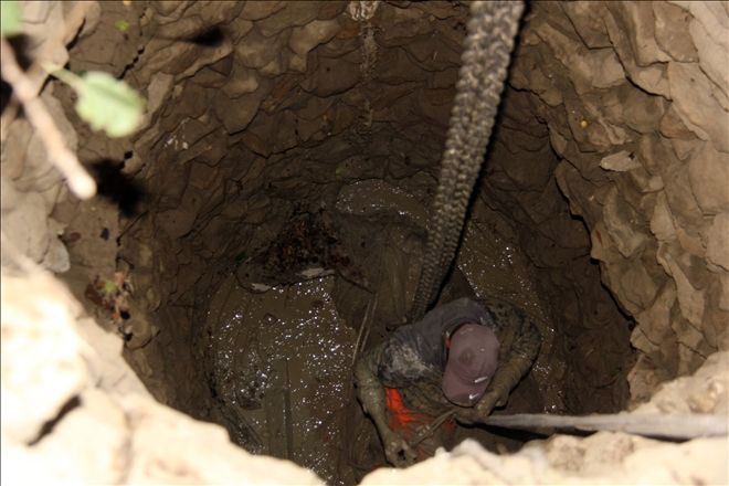 KUYUYA DÜŞEN İNEK VİNÇLE KURTARILDI