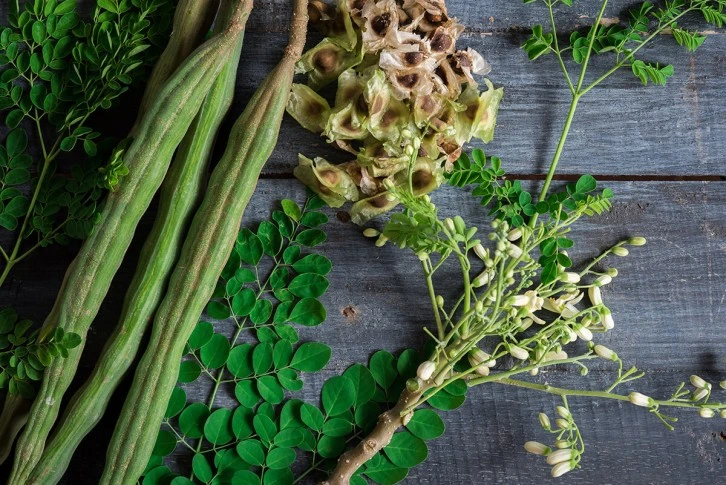 Moringa Çayı Faydaları Nelerdir?