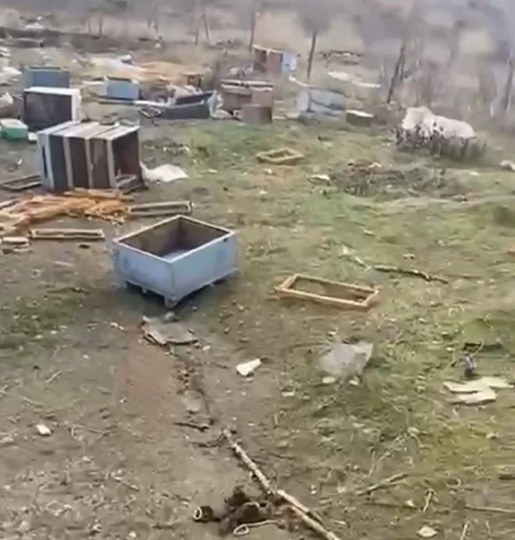 Sivas'taki Ayılar Kış Uykusuna Yatmadı