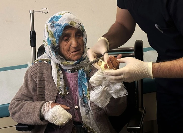 Köpekler Yaşlı Kadına Saldırdı