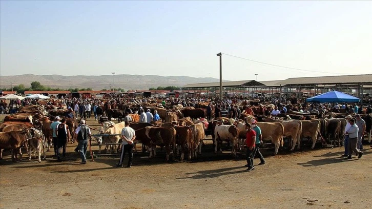 Şarkışla Hayvan Pazarı Kapandı