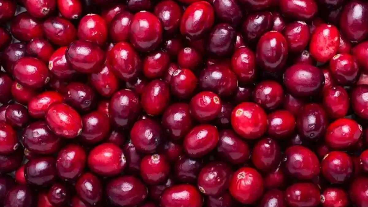 Tıp Dünyası Şokta! 4 Saatte Kanser Hücrelerini Yok Ediyor