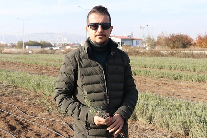 Elazığ'da Üretip Sivas'a Gönderiyor