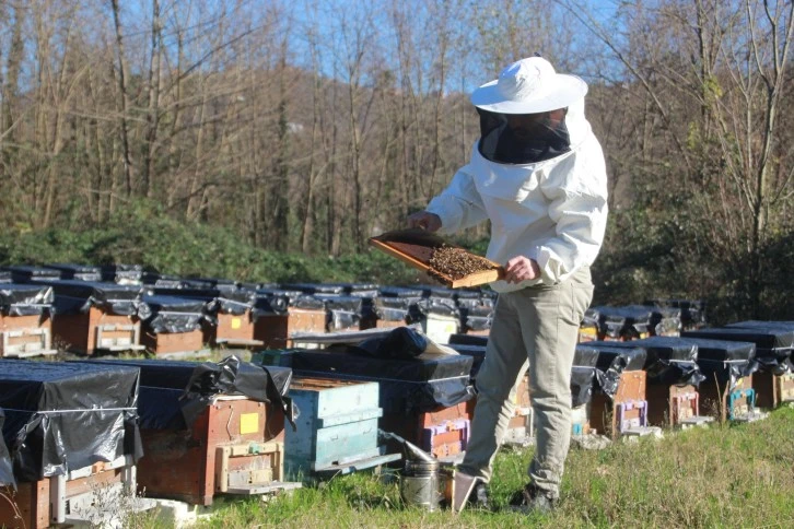 Arıcılar Yeni Sezona Hazırlanıyor