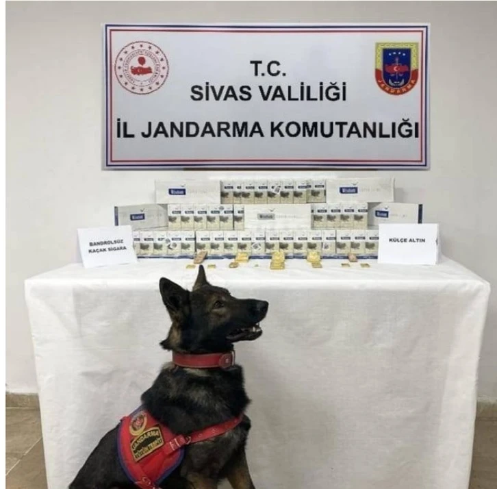 Yolcu Otobüsünden Külçe Külçe Altın Çıktı