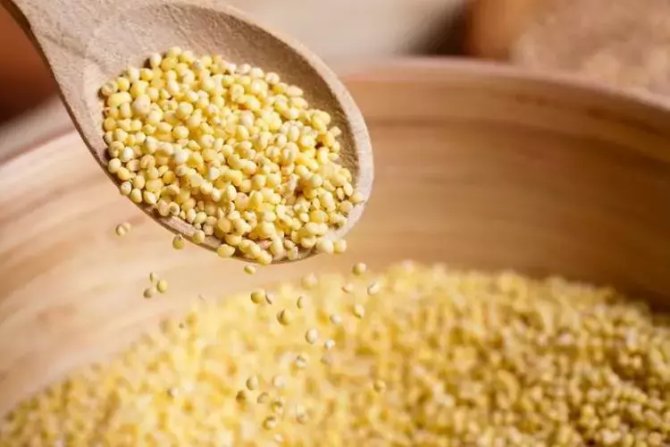 Dünyanın En Zengin Magnezyum Kaynağı! Her Derde Deva Oluyor