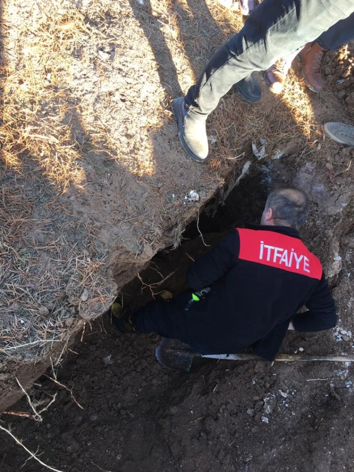 Sivas’ta Kuyuya Düşen Minik Köpek Kurtarıldı