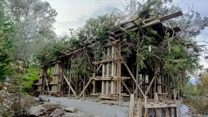 Ağaç Dalları Kaçak İnşaatı Gizlediler