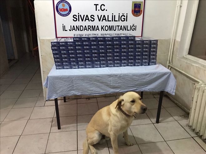 JANDARMA 6 KİŞİYİ  GÖZALTINA ALDI