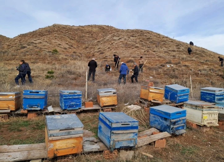 10 Bin Badem Tohumu Toprakla Buluştu