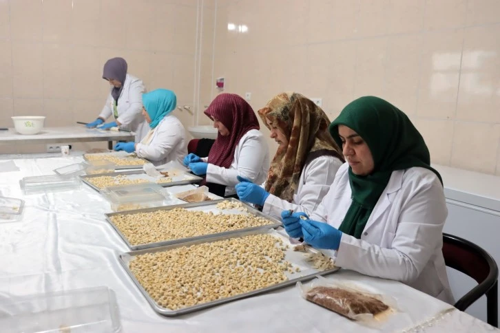 Gacer Gelir Kapısı Oldu