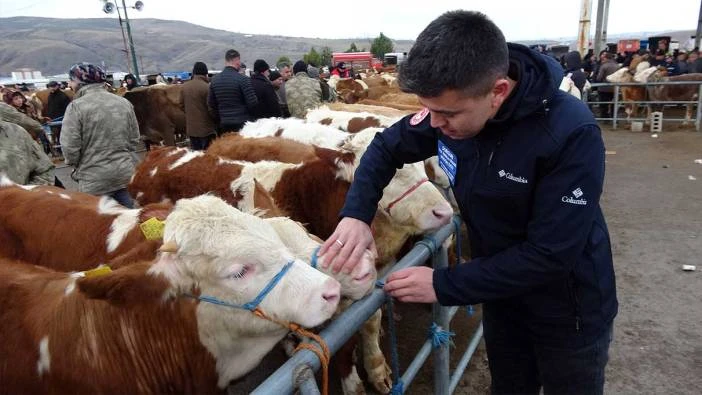 Hayvan Pazarında Sıkı Denetim