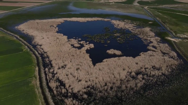 Sivas'ta Belgeselleri Aratmayan Görüntü