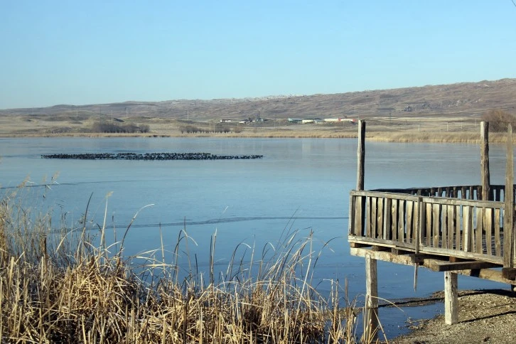 Sivas'ta Hafik Gölü'nün Yüzeyi Kısmen Buz Tuttu