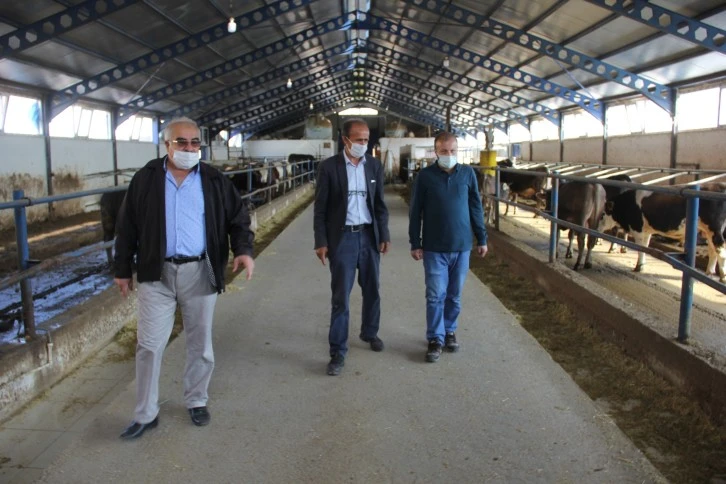 Sütün Raf Fiyatını Konsey Belirlemeli