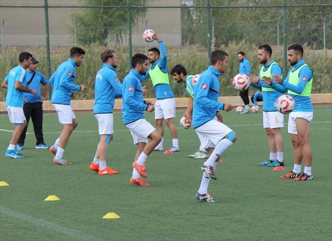 ŞARKIŞLA, KAZANMAK İSTİYOR