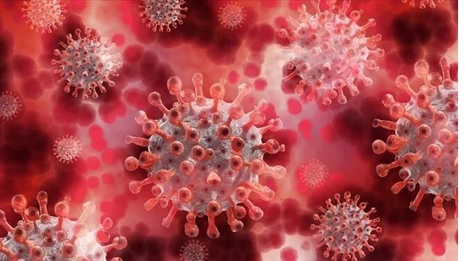 Covid’den Daha Tehlikeli 8 Günde Öldürüyor! 