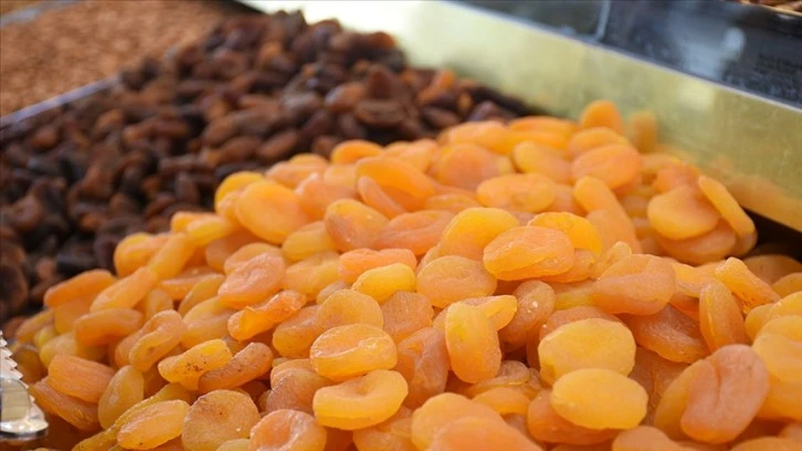 Kuru Meyve İhracatında Rekor