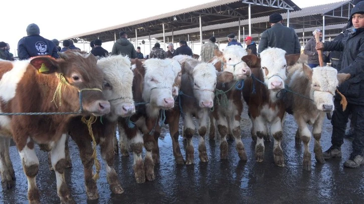 Sivaslılar Müjde Yeniden Açıldı