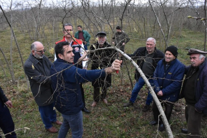 Fındık Üreticilerine Eğitim