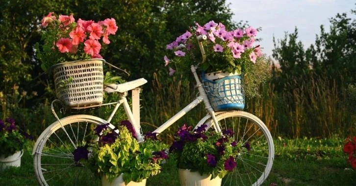 Rüyada Bisiklet Görmek 