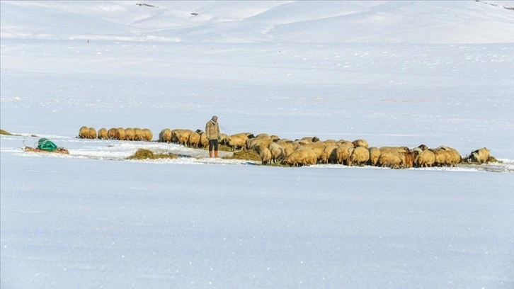 Kar Besicileri Mutlu Ediyor