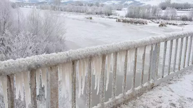 Dikkat! Sivas Donacak   