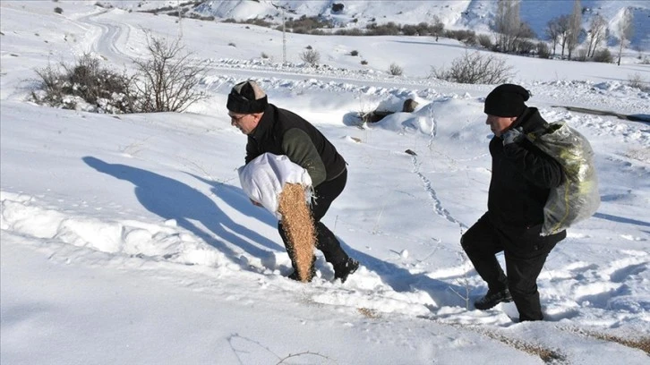 Karlı Arazide Yaban Hayvanlar İçin Sahadalar
