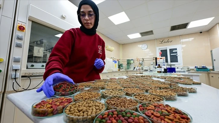 Kedi Köpek Maması İhracatı Arttı