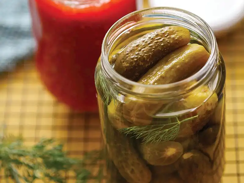 Salatalıkları Kütür Kütür Hale Getirmenin Püf Noktası