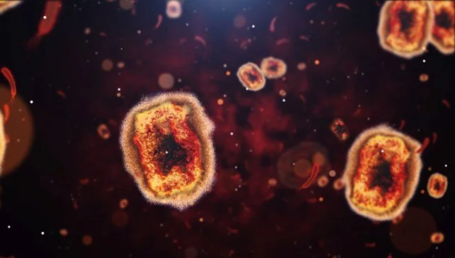 İnsan Sindirim Sisteminde Gizemli Virüs