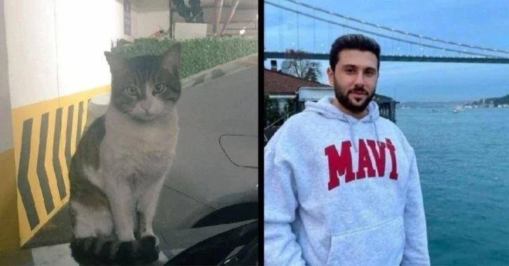 Kedi Öldürdü İyi Hal İndirimi Aldı!
