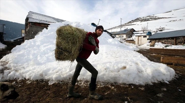 Besicilerin Zorlu Mesaisi
