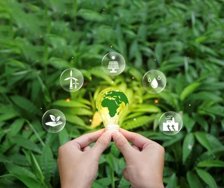 CK Enerji ile Enerji Yeşile Döndü