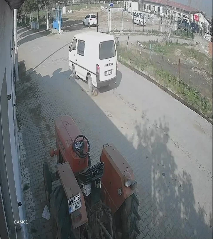 10 Günlük Köpeği Ezerek Öldürüp Kaçtı!