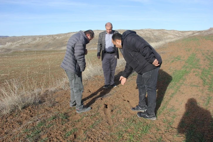 Sivas’ta Fare İle Mücadele