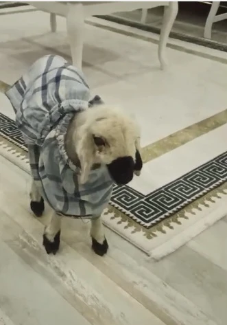 Sivas’ta Evde Anne Şefkatiyle Büyüyor