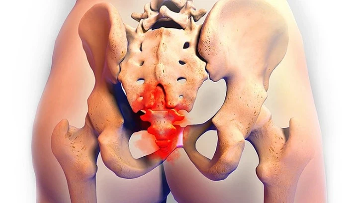 25 Milyon Yıllık Gizem Çözüldü