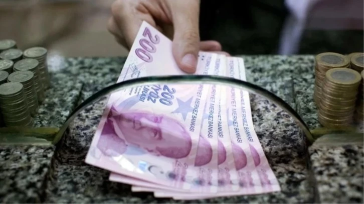 E-Devlet'te Birikmiş Paranız Olabilir