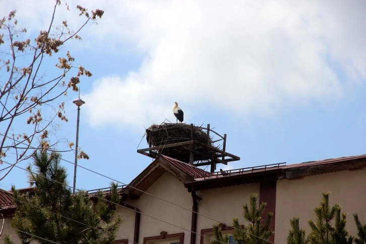 Sivas'ta Leylekli Okulun Misafirleri Geldi