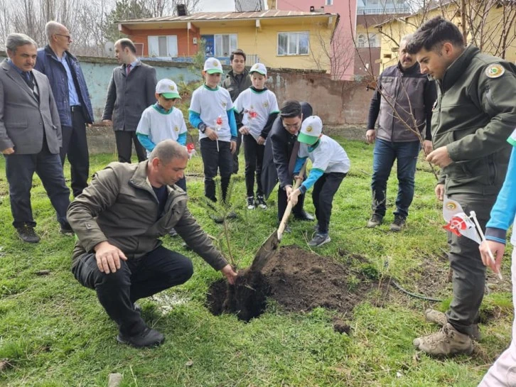 Akıncılar'da Öğrenciler Fidan Dikti