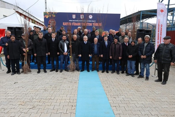 Sivas'ta Çiftçilere 50 Bin Adet Kayısı Fidanı 