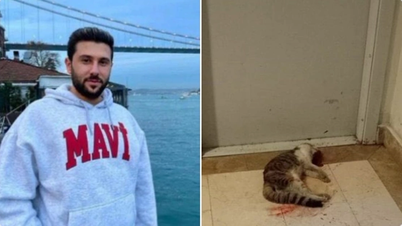 Eros'un Katiline Verilen Cezada Yeni Gelişme