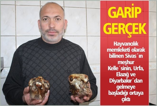 GARİP GERÇEK