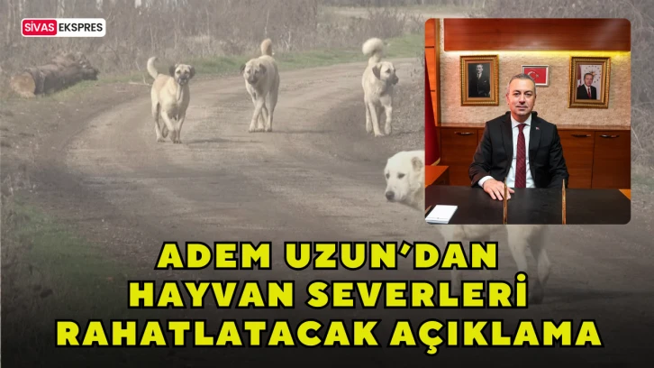 Adem Uzun’dan Hay­van Se­ver­le­ri Ra­hat­la­ta­cak Açık­la­ma