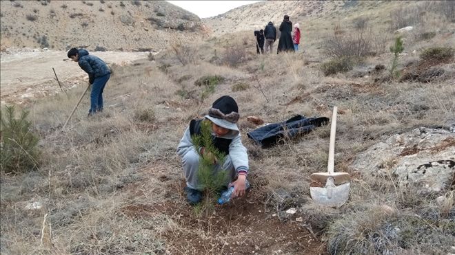 TAVRA DERESİNE  300 FİDAN DAHA