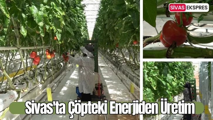 Sivas'ta Çöpteki Enerjiden Üretim