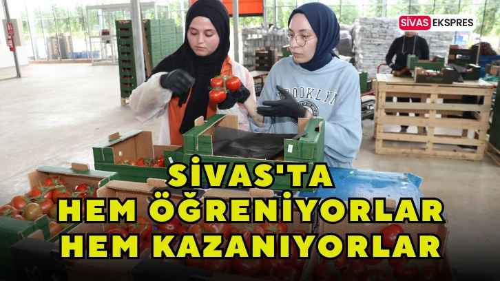 Sivas'ta Hem Öğreniyorlar Hem Kazanıyorlar
