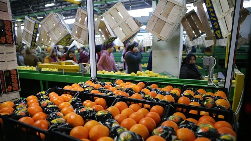 Tarım Sektöründe İhracatta İlk Çeyrek Rekoru