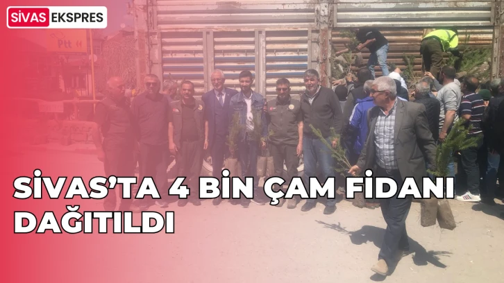 Sivas’ta 4 Bin Çam Fidanı Dağıtıldı